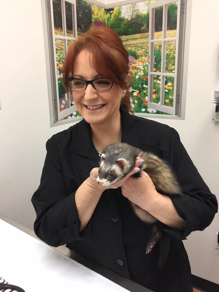 Ferret Vet Jill M. Patt, DVM of Gilbert, AZ