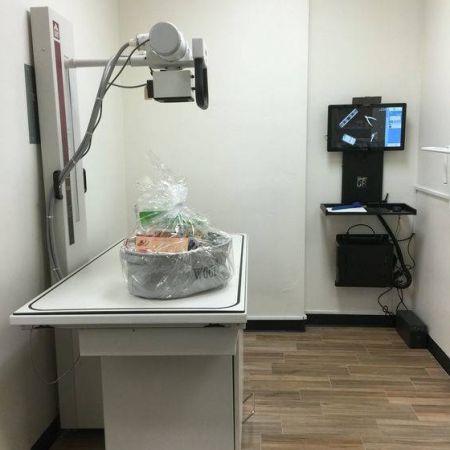 digital x-rays at Little Critters Vet