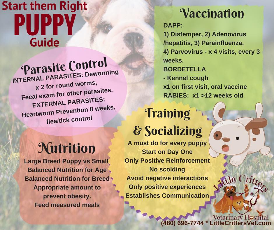 what vaccines are legally required for dogs