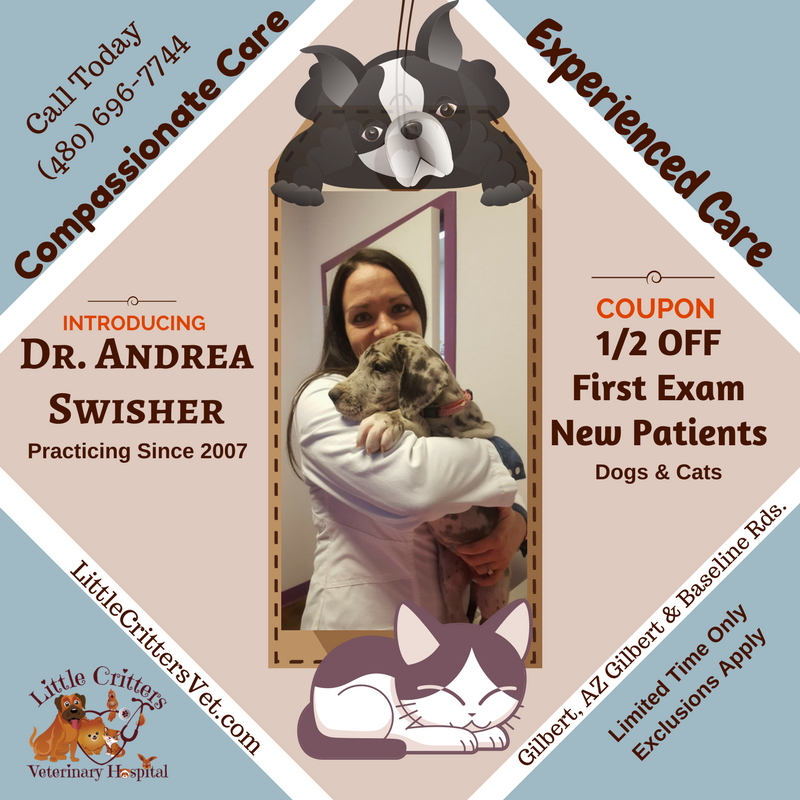 Dr. Andrea Swisher at Little Critters Veterinary Hospital - Coupon Dr. Andrea Swisher at Little Critters Veterinary Hospital - Coupon
