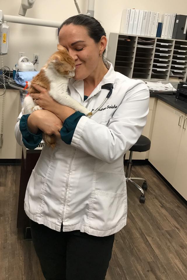 Dr. Swisher, Feline Care at Little Critters Vet Dr. Swisher, Feline Care at Little Critters Vet