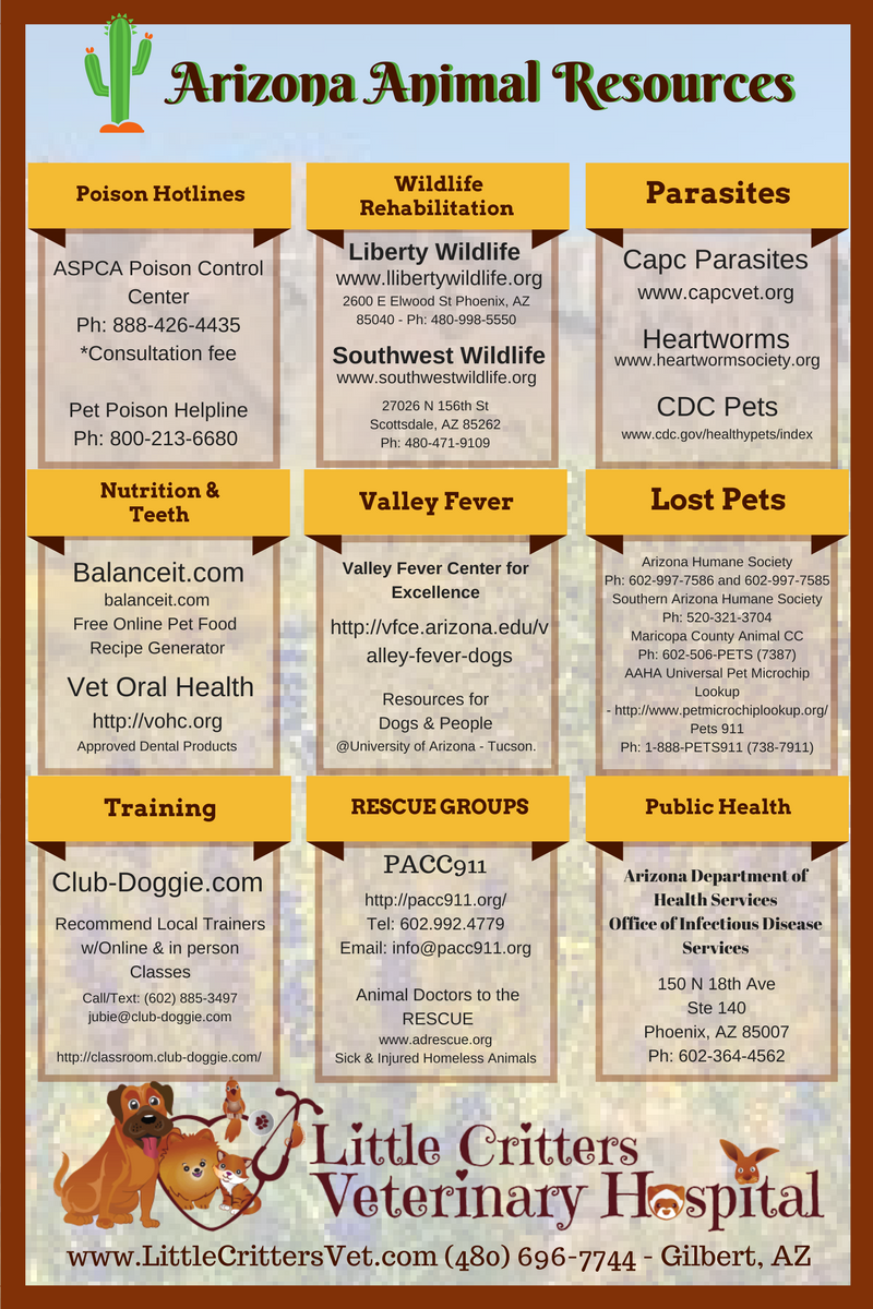 Pet Owner Resources from Little Critters Vet