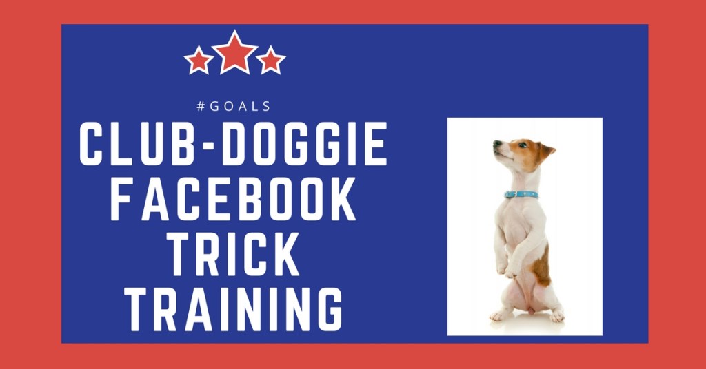 Trick Training
