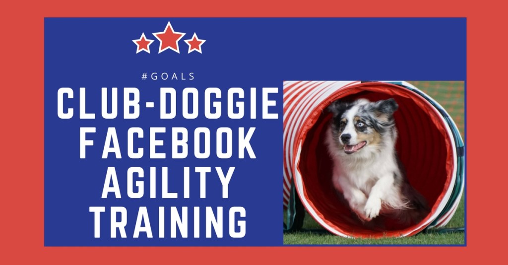 Agility Training