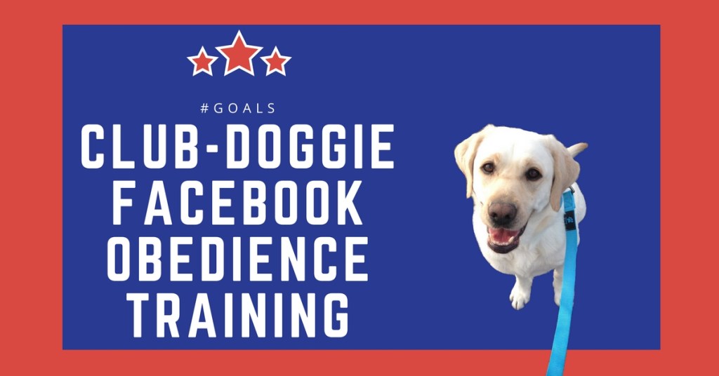 Obedience Training