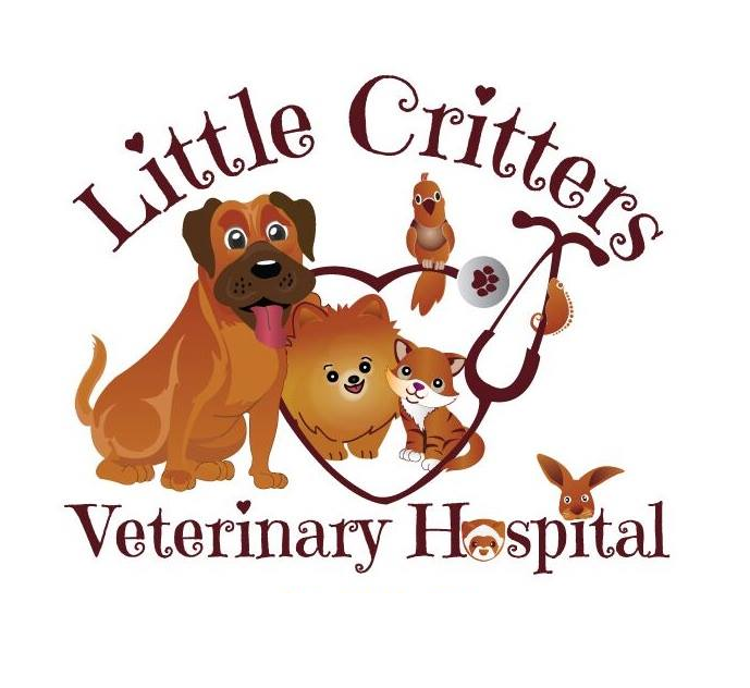 www.littlecrittersvet.com