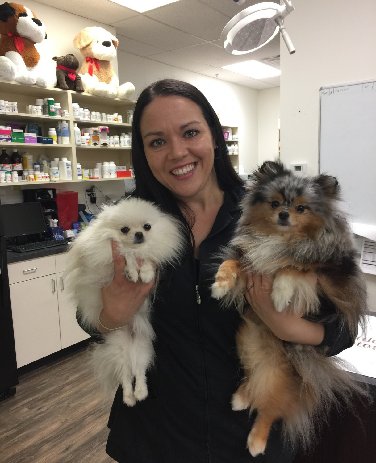 dog care at little critters vet