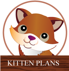 Kitten Plans
