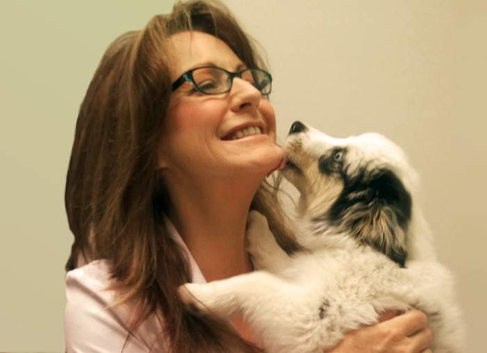 Jill M. Patt, DVM offering Experienced Veterinary Care at Little Critters Veterinary Hospital in Gilbert, AZ