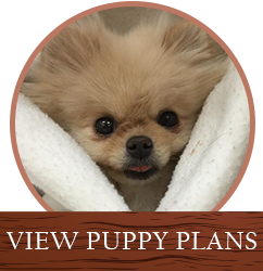 Puppy Plans