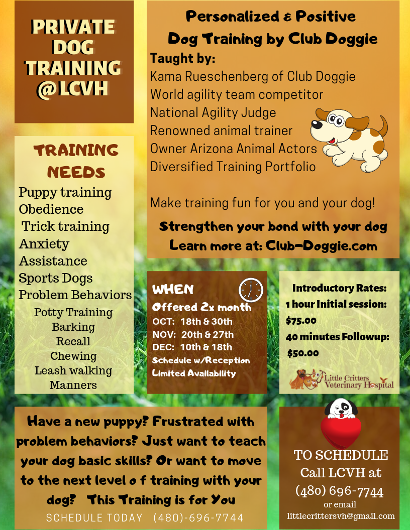 Dog training at Little Critters Veterinary Hospital Dog training at Little Critters Veterinary Hospital
