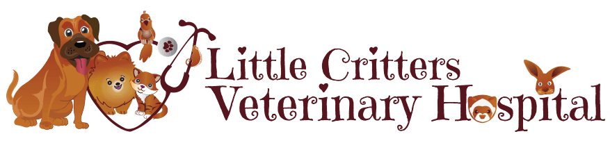 Little Critters Veterinary Hospital 
