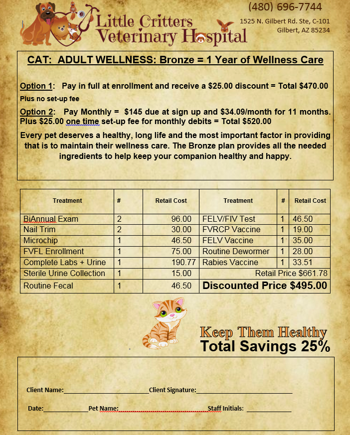 Adult Cat Plan Little Critters Veterinary Hospital Gilbert, AZ