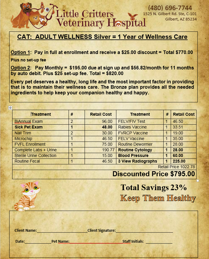 Adult Cat Plan Little Critters Veterinary Hospital Gilbert, AZ