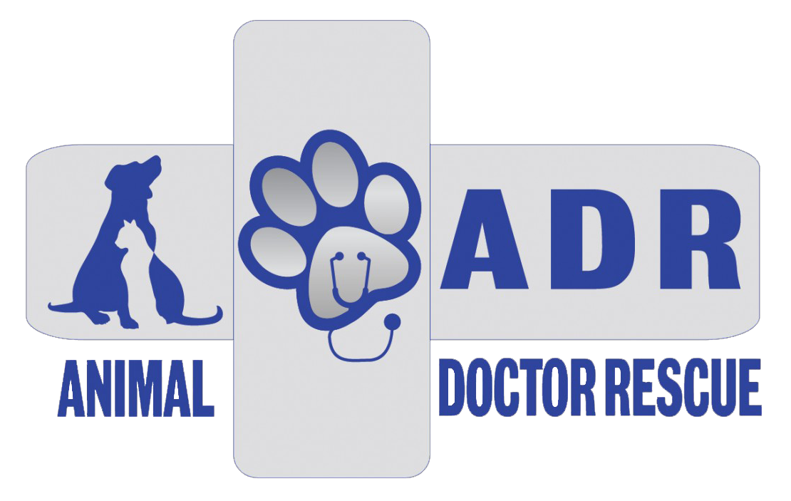 Animal Doctors to the RESCUE Animal Doctors to the RESCUE