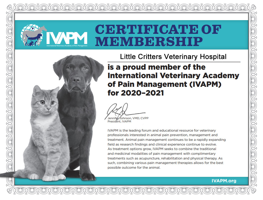 IVAPM Certificate of Membership