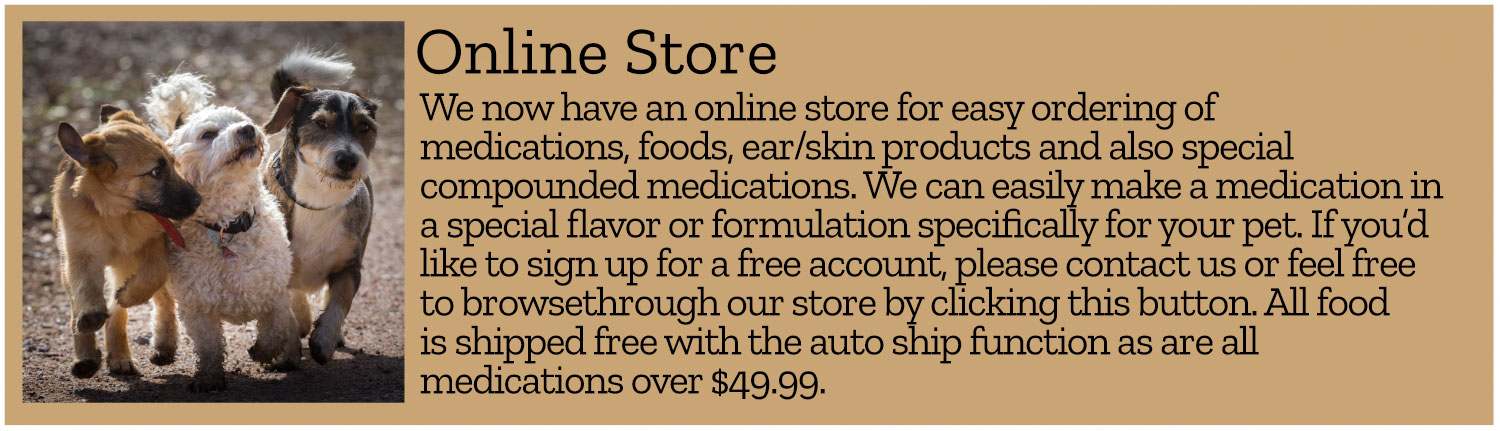 Online Store