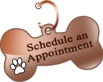 Schedule Appointment